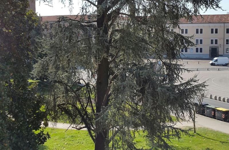 Al Prato 3*
