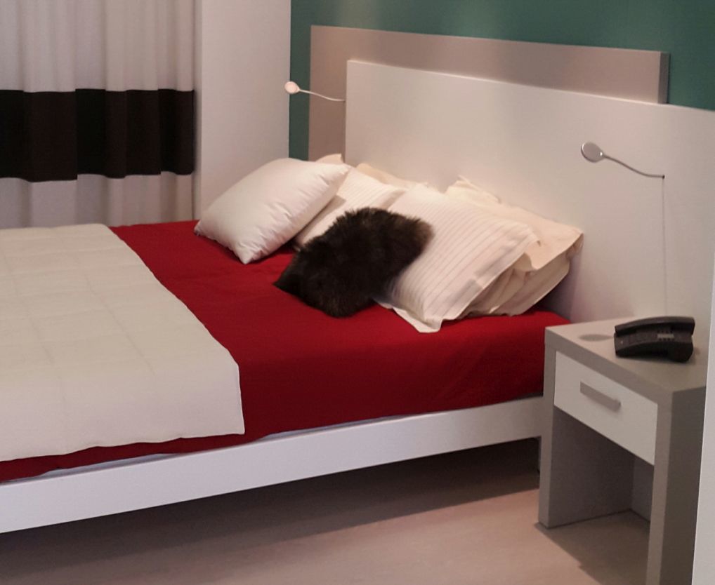 Hotel Al Prato